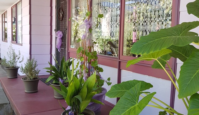 Comfortable family/couples/business stay house in a quiet central location.