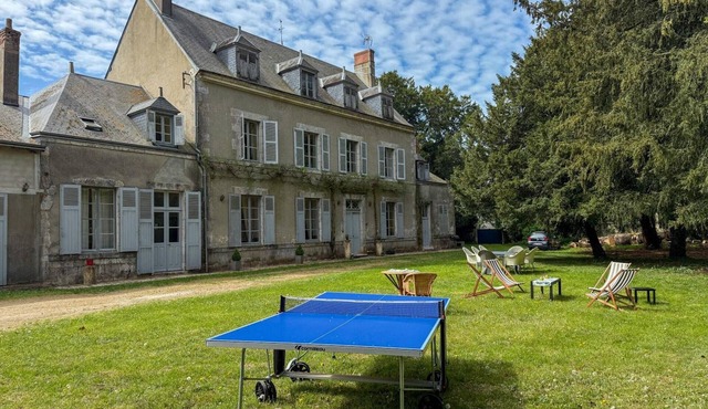Comfortable family castle with pets allowed