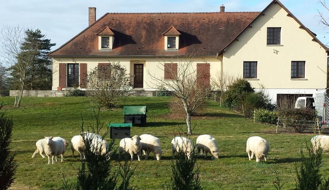 Comfortable, Spacious Gite with pool