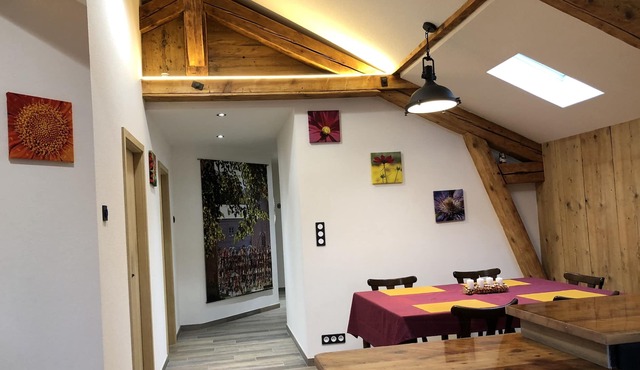 Comfortable cottage, completely renovated, on the edge of Wesserling Park