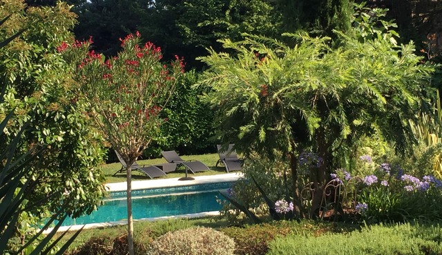 Comfortable, quiet, spacious apartment, lush garden, Nice hinterland