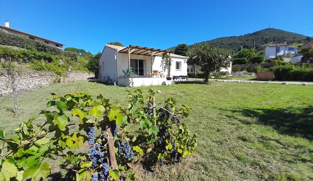 Comfortable house in quiet neighborhood 5 minutes walk from downtown