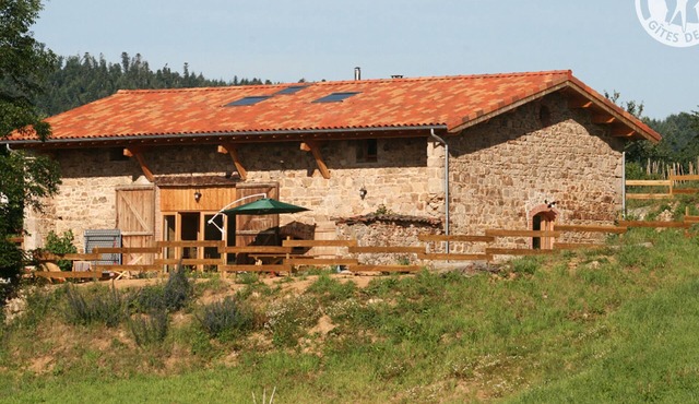 Comfortable Ecogîtes for 10 people, near Lyon, ideal for family/friends