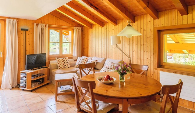Comfortable, friendly apartment with beautiful mountain views