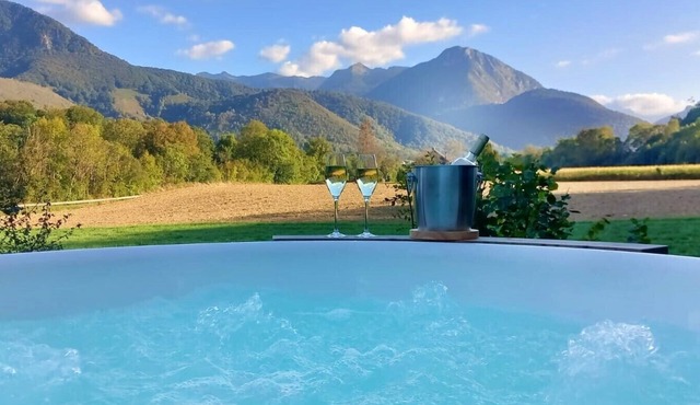 Comfortable gîte with Spa and Pyrenees view *