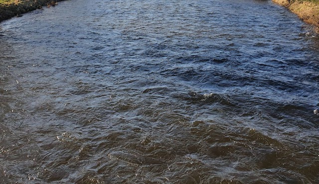 Comfortable home in the heart of Peebles