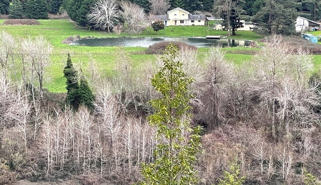 Comfortable home near the Avenue of the Giants with large pond on the Eel River.