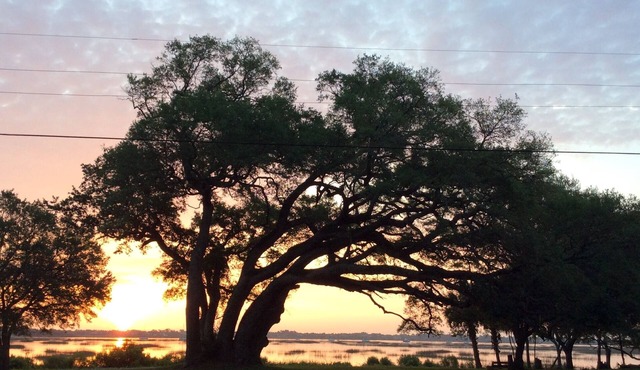 Comfortable home, quiet, scenic neighborhood, walkable street, near town & beach