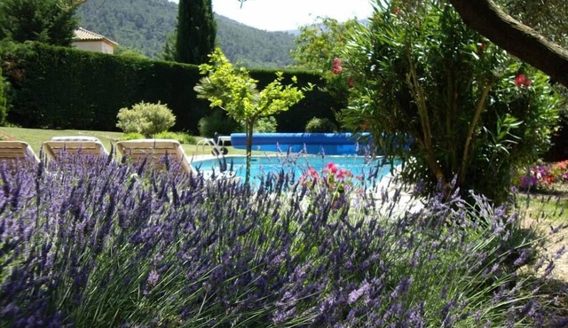 Comfortable house situated in the heart of a landscaped garden, pool wheelchair