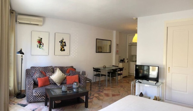Comfortable in Elviria