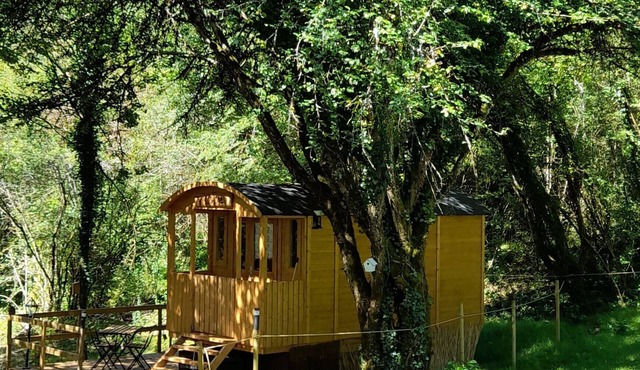 Comfortable little trailer