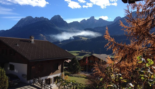 Comfortable mountain flat in Château d'Oex, sleeps 2