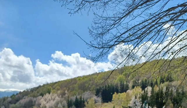 COMFORTABLE MOUNTAIN HOUSE