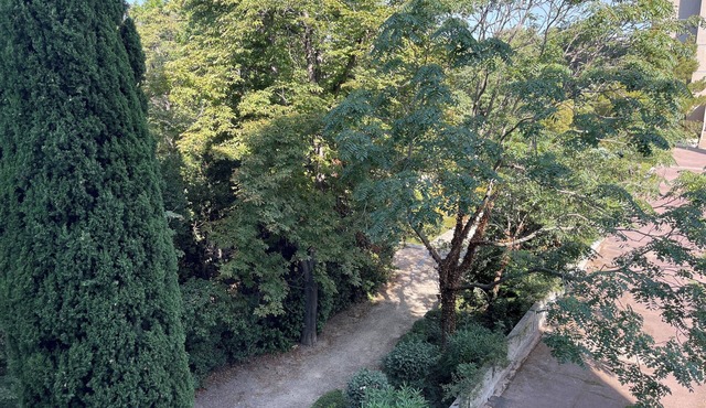 Comfortable new apartment in a peaceful location