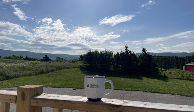 Comfortable Ocean Breeze Home