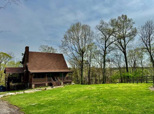 Comfortable one bedroom basement apartment in the woods