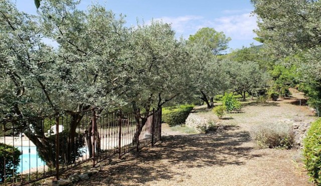 Comfortable provencal villa with great views, pool, garden & 60+ olive trees