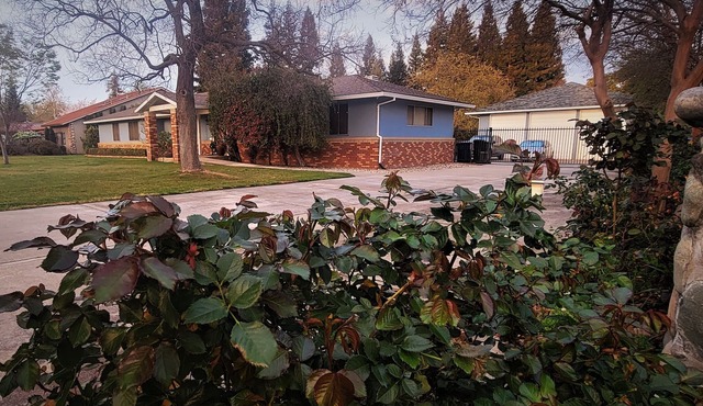Comfortable Quite Private In-Law Suite in the Heart of Sacramento