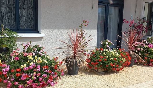 Comfortable renovated family home on wooded grounds & private parking