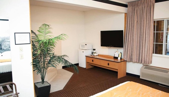 Comfortable Room w/Kitchette, BBQ Grill, and Complimentary Breakfast