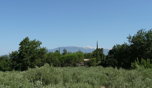 Comfortable small stone 18th Century cabin, private pool, exceptional site