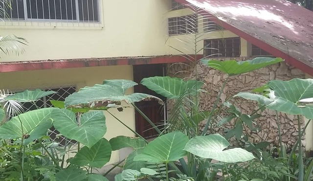Comfortable Spacious House With A View Of Nature, In Central Tourist Area