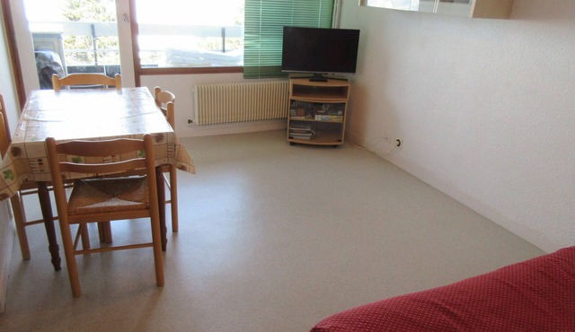 Comfortable studio for 4 near slopes, pets allowed