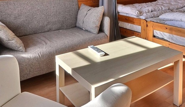 Comfortable studio for 2 people, living room with 2 beds, kitchen area with dishwasher, shower-WC, s