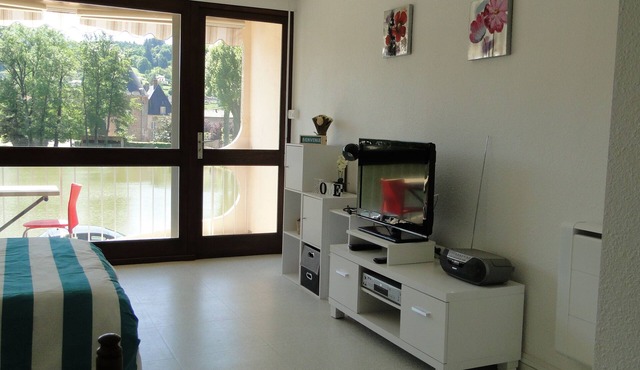 Comfortable studio with view of pond and Chateau