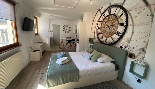 Comfortable studio near Europapark