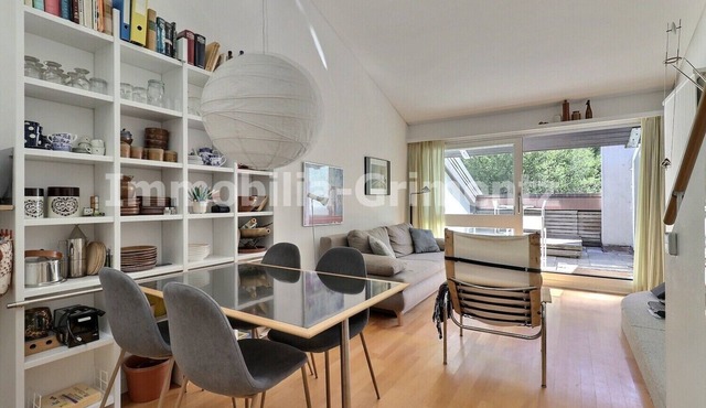 Comfortable studio on 2 levels for 2 to 4 people, living room with 1 divan bed, kitchen area, mezzan