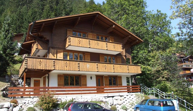 Comfortable vacation apartment in a quiet location, close to the center.