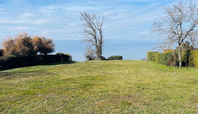 Comfortable waterfront apartment with breathtaking views, nature break