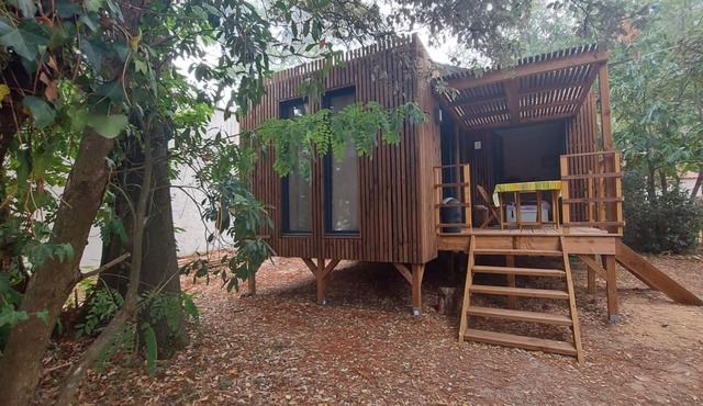 Comfortable wooden bungalow among the trees