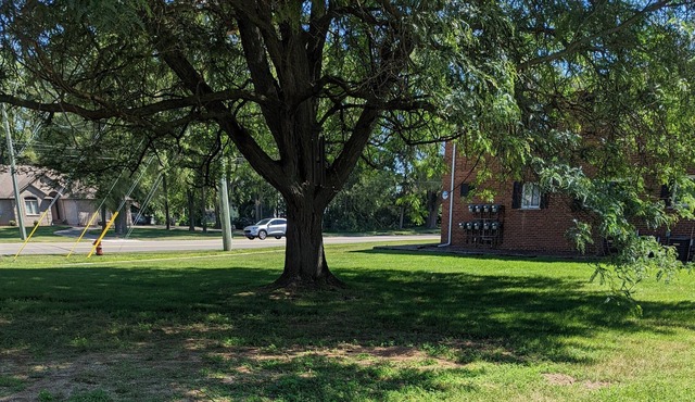 Comfy -1 Bedroom Apartment / Shelby Twp, Mi (Apt #2)