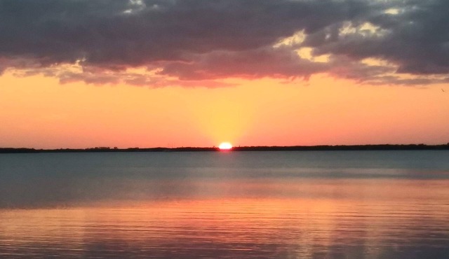 Comfy and cozy 1BR downstairs apt with King sized bed, centrally located for fun