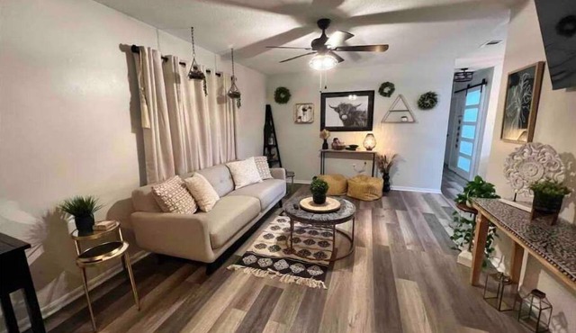 Comfy and cozy on Holly