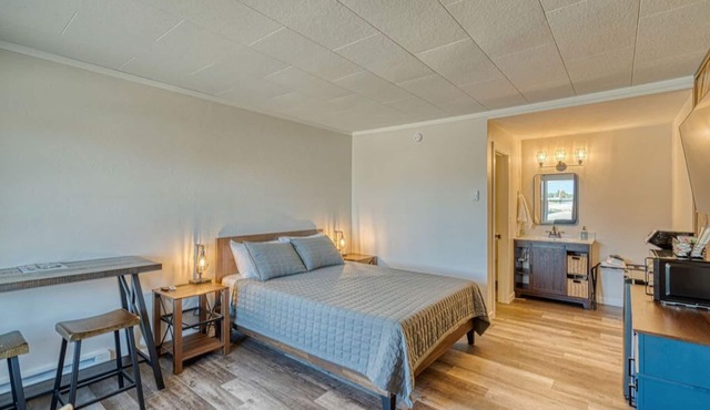 Comfy and Cozy Studio for 2 (101 Spring Creek)