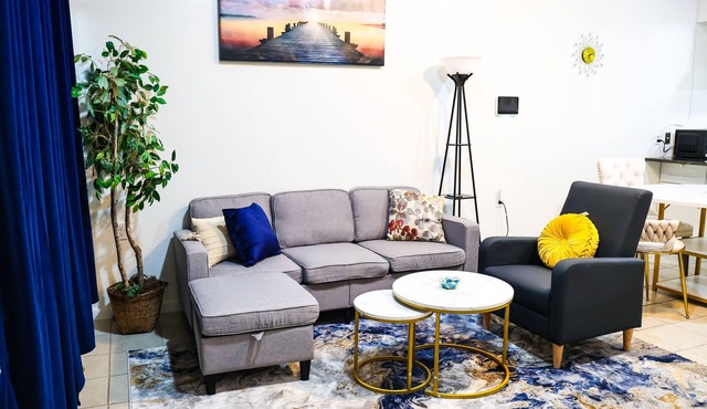 Comfy Apartment in a vibrant oil city Midland. Family and pet-friendly