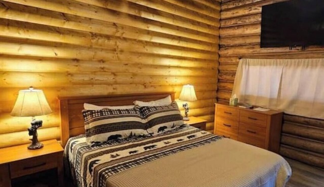 Comfy Cabin in Cooke City