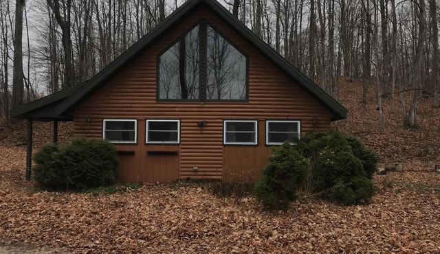 Comfy Cabin: Near Sleeping Bear Dunes & Frankfort