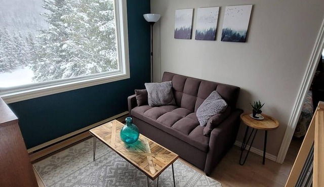 Comfy chalet with lake view & private trails
