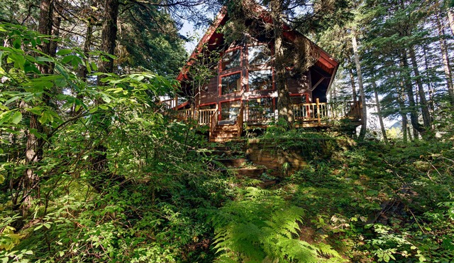 Comfy chalet with private hot tub, 2 fireplaces - near trails & slopes, dogs OK