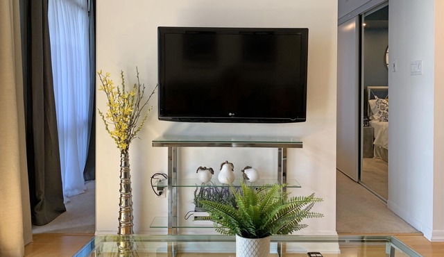 Comfy Condo in the Centre of Downtown Toronto