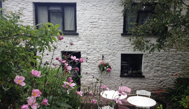 Comfy cottage in glorious West Wales perfect for mountains or coast sleeps 9