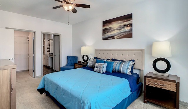 Comfy & Cozy, Close to Disney