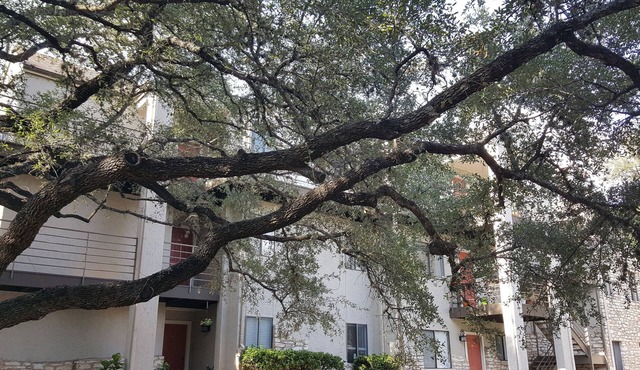 Comfy, Fully Remodeled Condo, Convenient Location