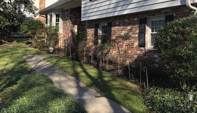 Comfy Richmond Virginia home
