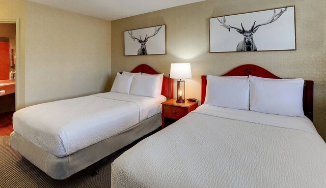 Comfy Stay! Explore Historic Galena with Family and Pet