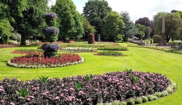 Comfy Stylish Home, Netflix, Parking, Sleeps 5